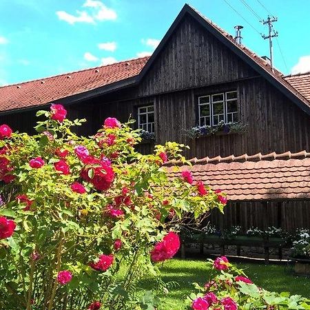 Albler-Nest Auf Hofgut Kuche Apartment Burladingen Luaran gambar